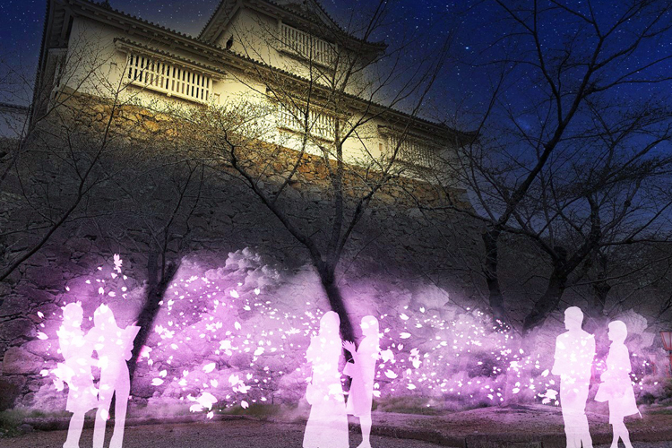 津山城ナイトファンタジア夏桜