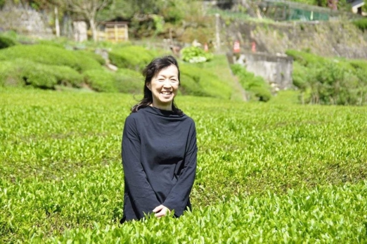 岩永製茶園をひとりで管理する門内智子さん