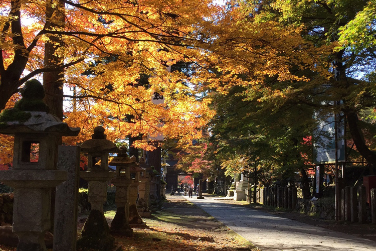 谷汲華厳寺の参道