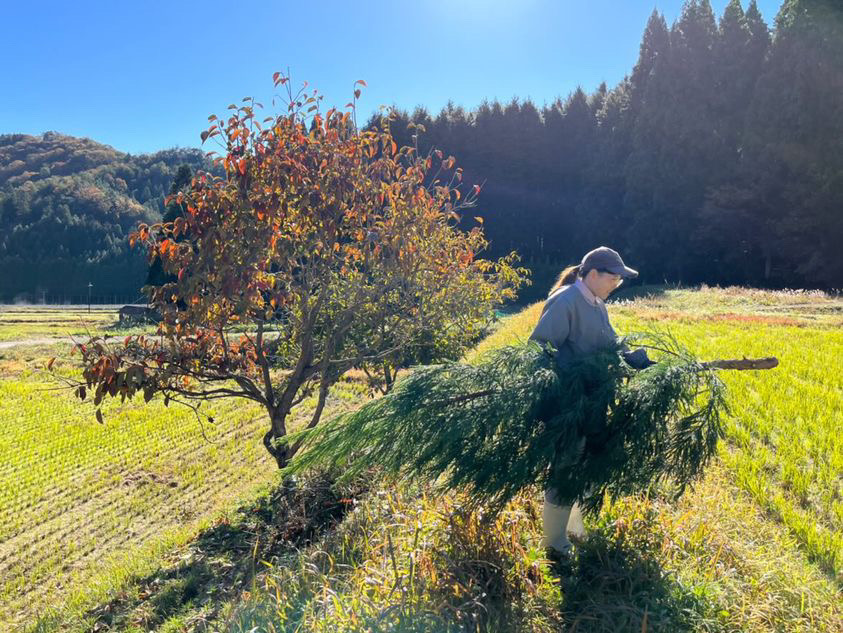切った木を運ぶ姉