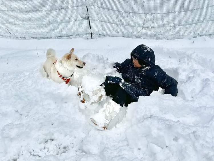 母と雪にまみれて遊ぶてん