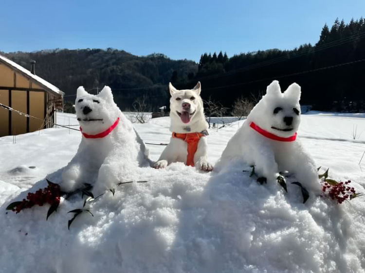 雪だるま(雪犬？)と並んで笑顔のてん
