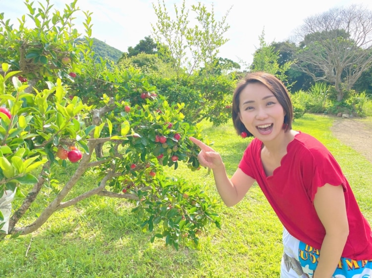 池田アナとアセローラ