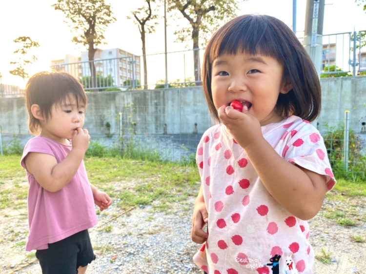 子供も大好きなアセローラ