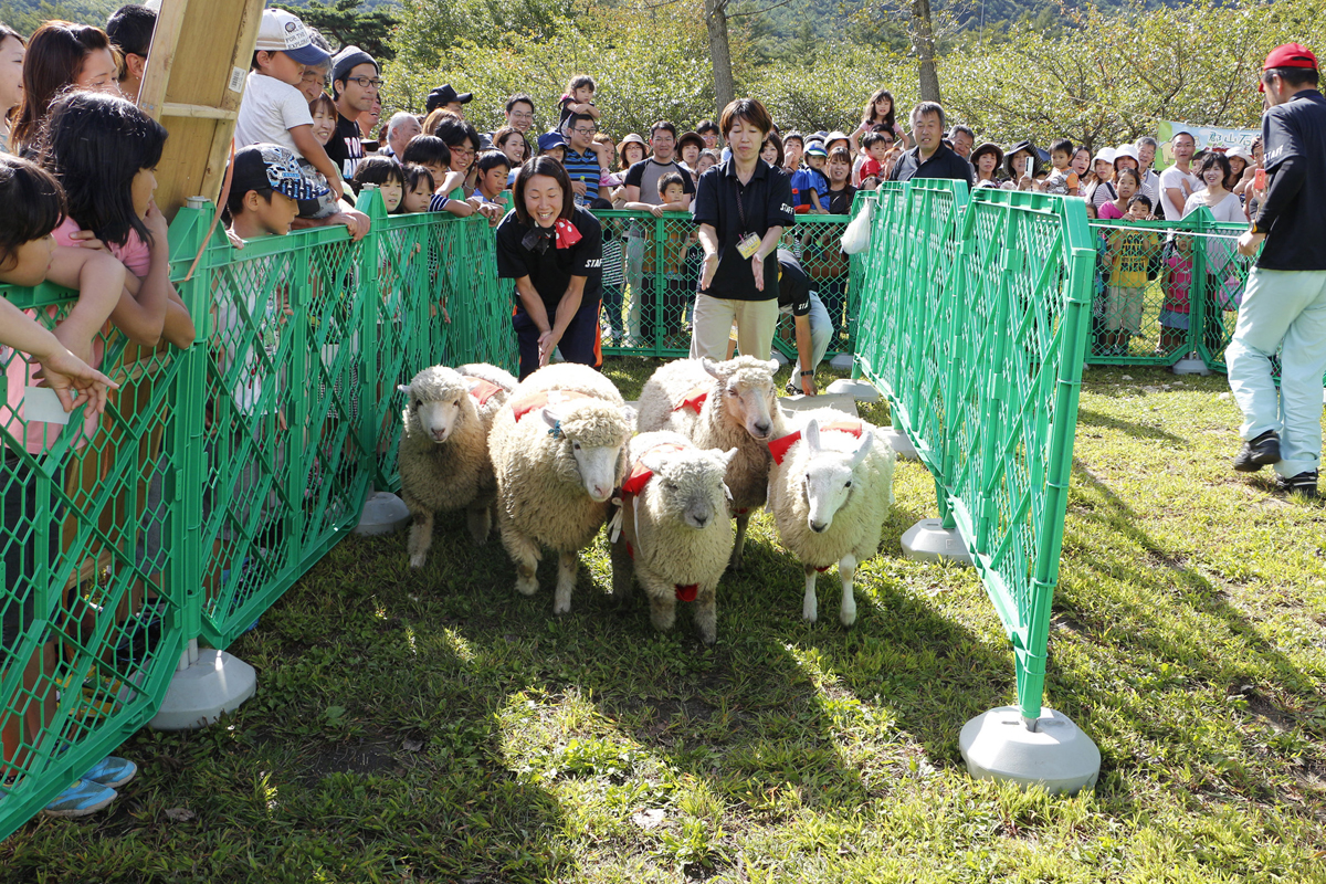 郡山石筵ふれあい牧場