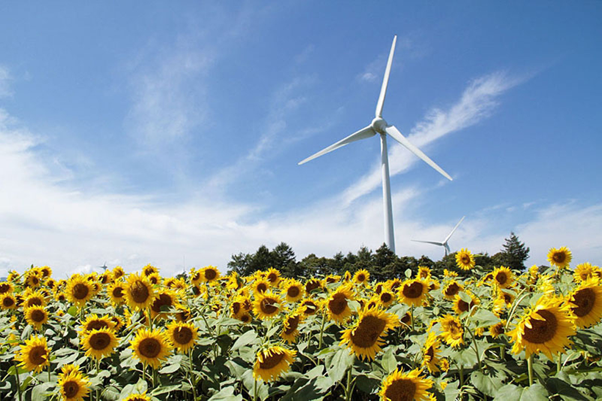 郡山布引風の高原