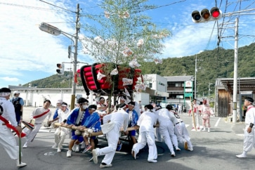 写真：神輿とだんじりが競い合う。大迫力の呉市「桂濱神社大祭」