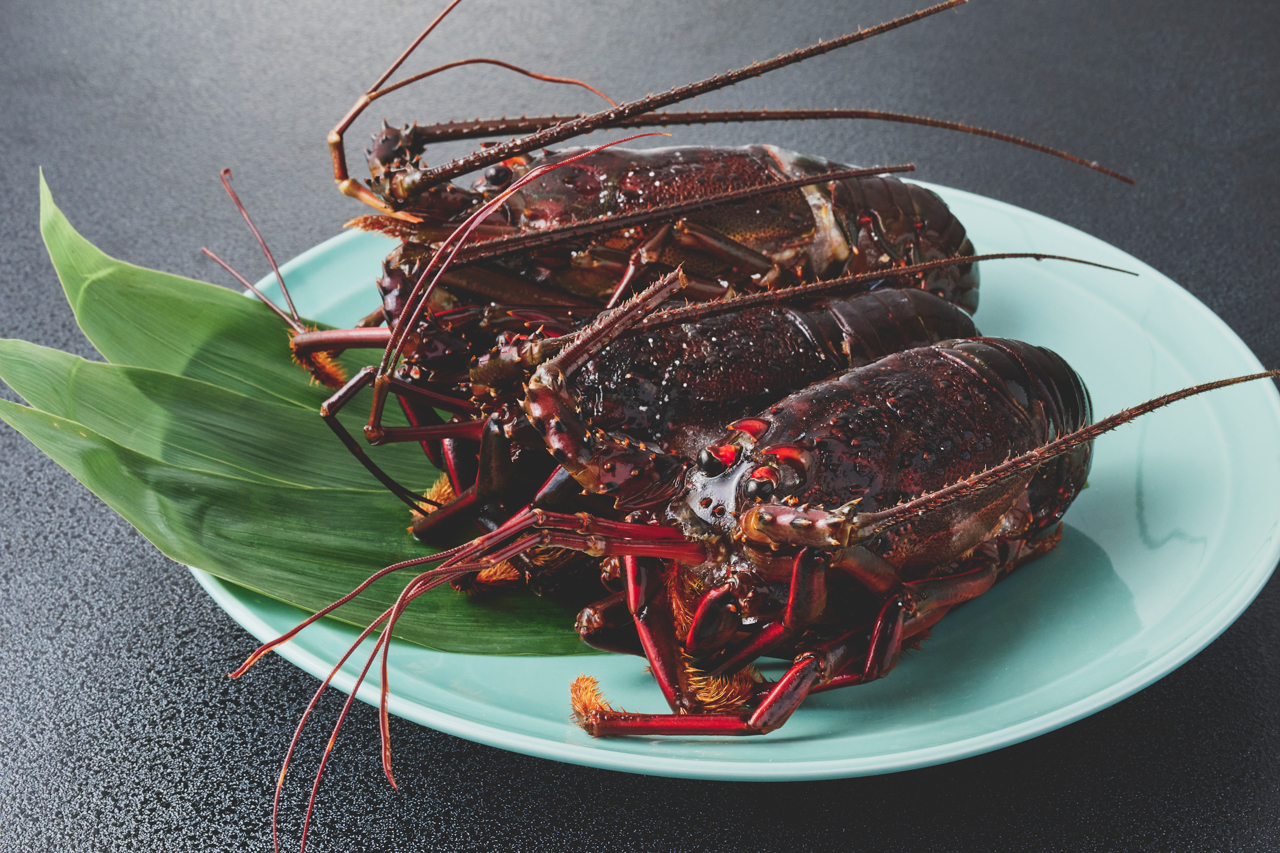 天然 甘味凝縮！ 活〆冷凍伊勢海老 900g以上