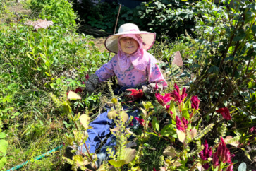 写真：キノコや銀杏に舌鼓。安芸高田、里山暮らしの秋の楽しみ