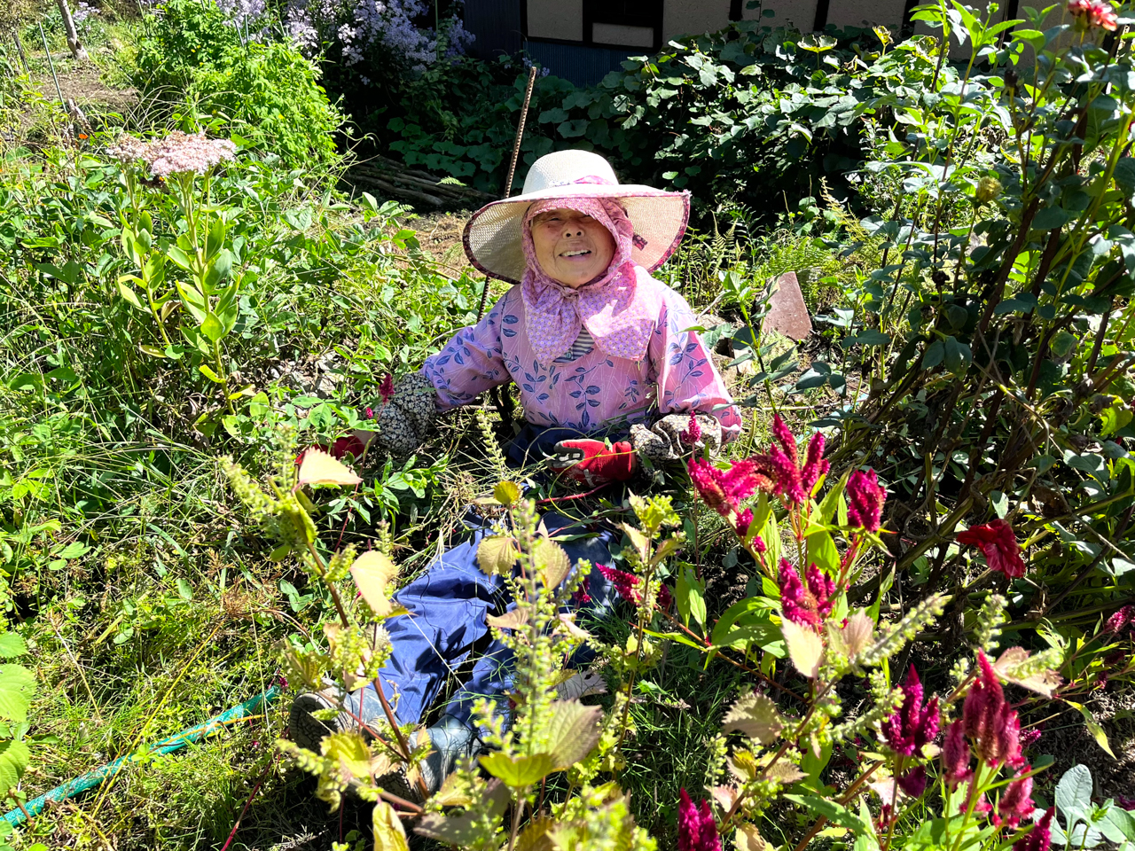草むしりするおばあちゃん