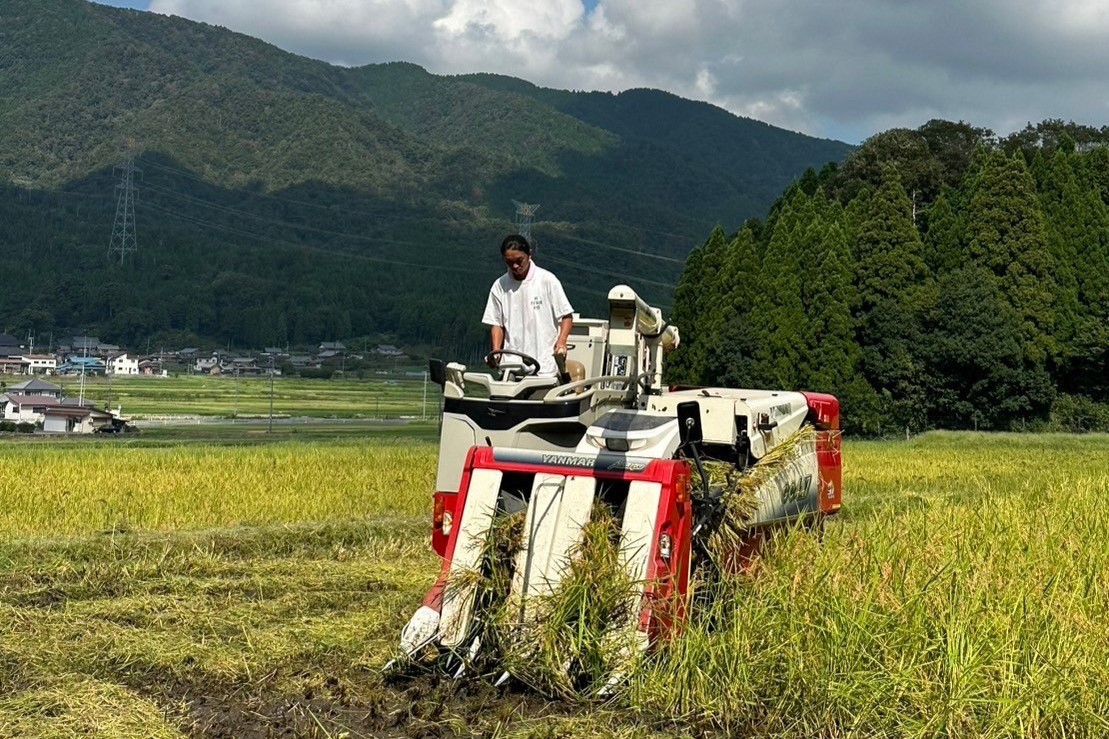 旧西浅井町の田んぼ