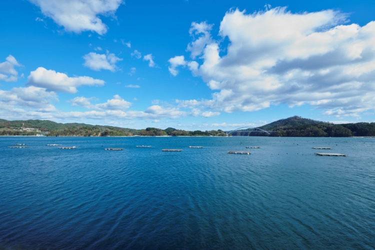 気仙沼の海