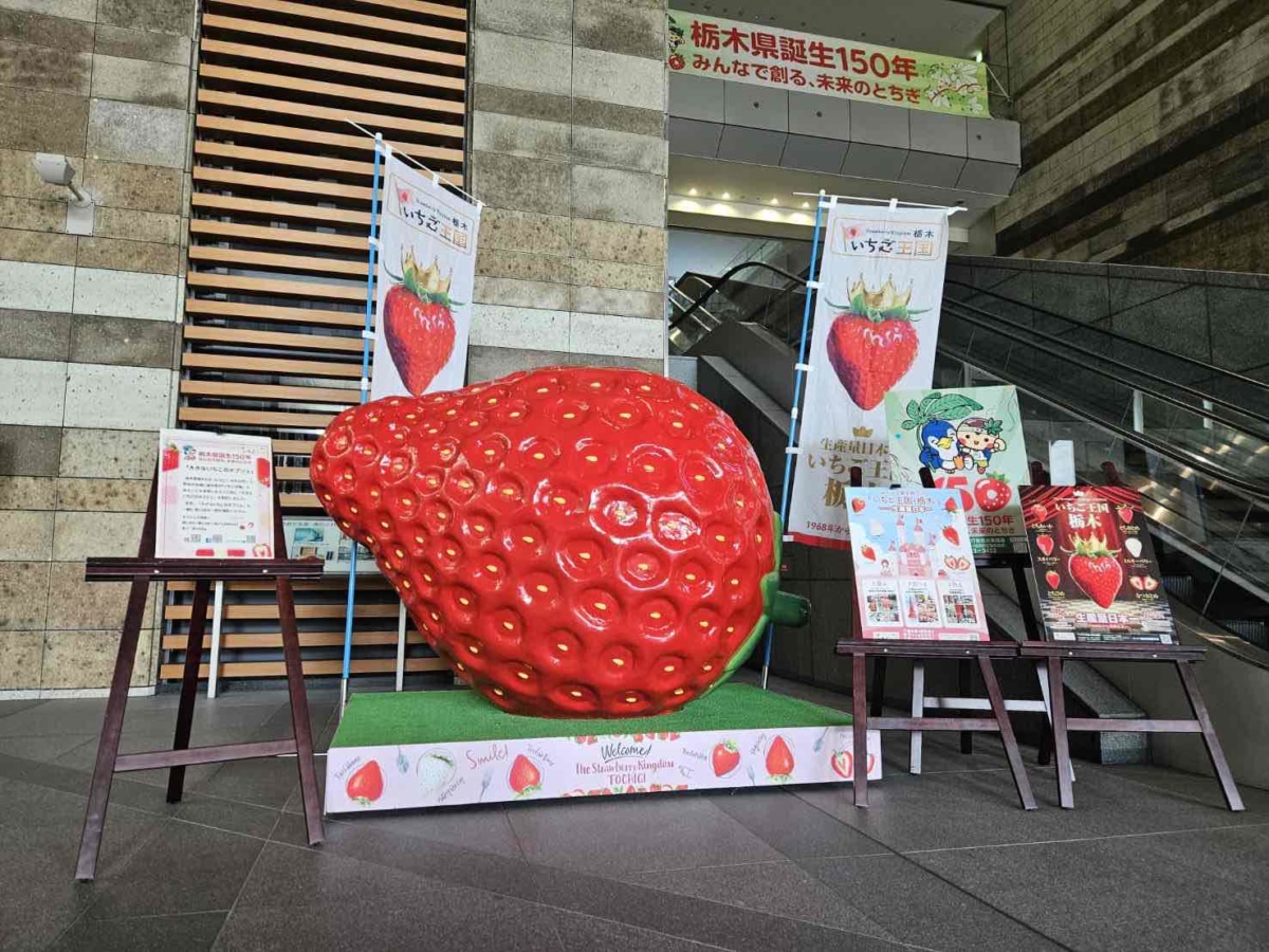 イチゴまみれの電車も登場「いちご王国」栃木の旬がスタート｜カラふる