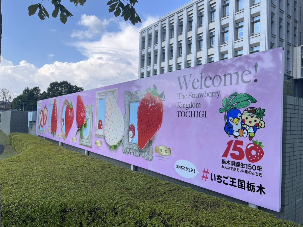 いちご王国の看板