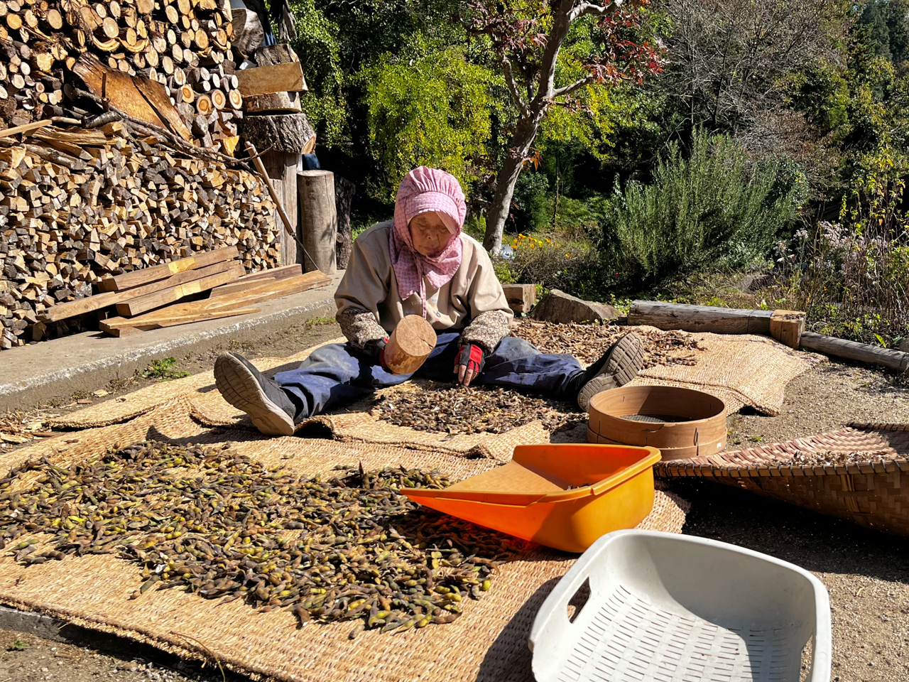 豆仕事をするおばあちゃん