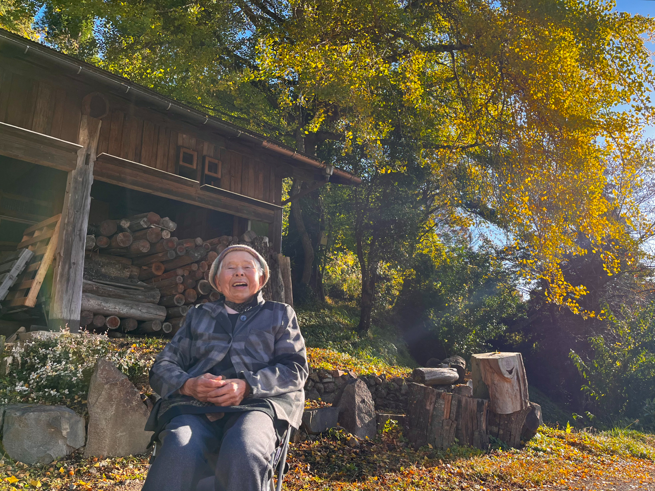 シンボルツリーのイチョウ