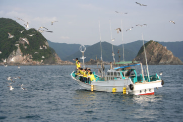 写真：ふわふわのしらすやあかもくを満喫。和歌山由良町で海を楽しむ旅へ