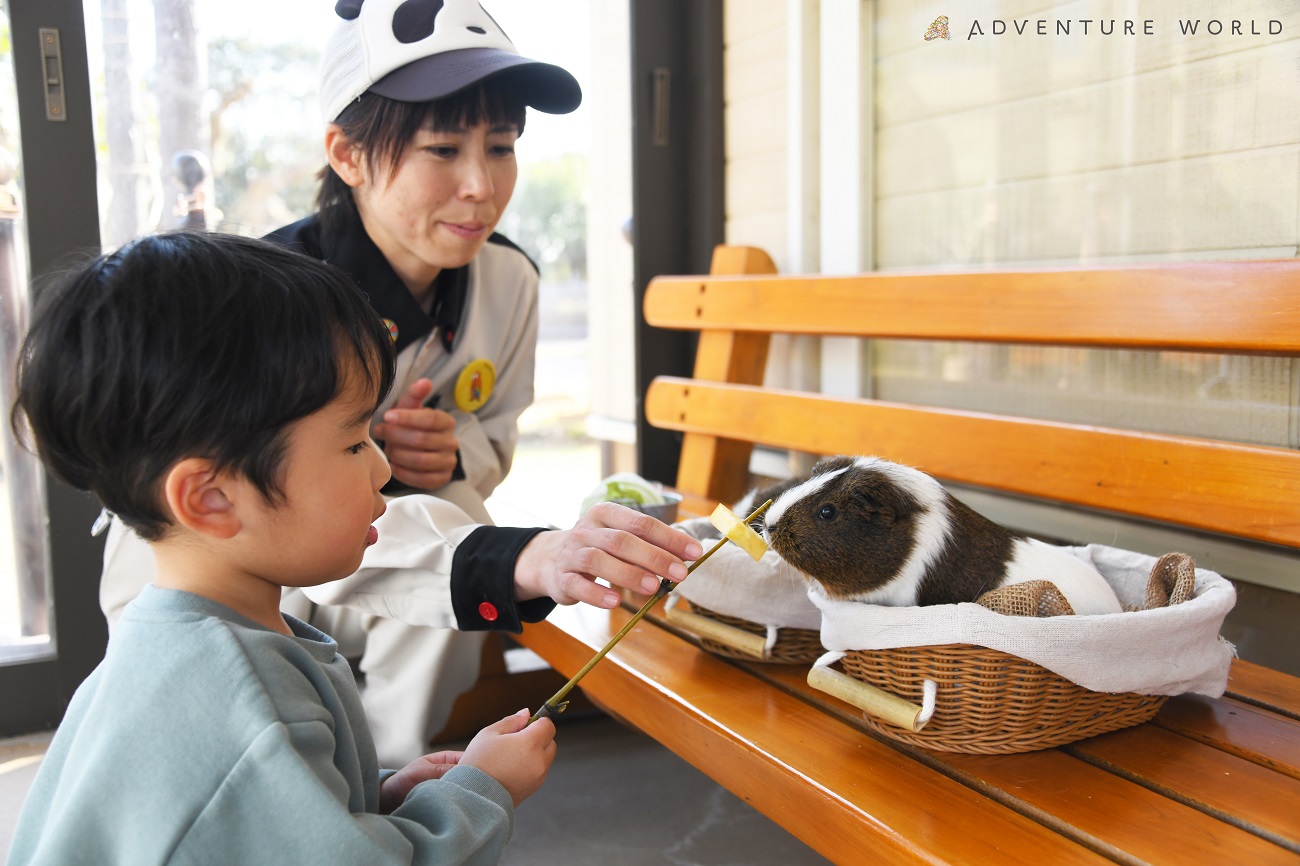 アニマルフィーディングアドベンチャー