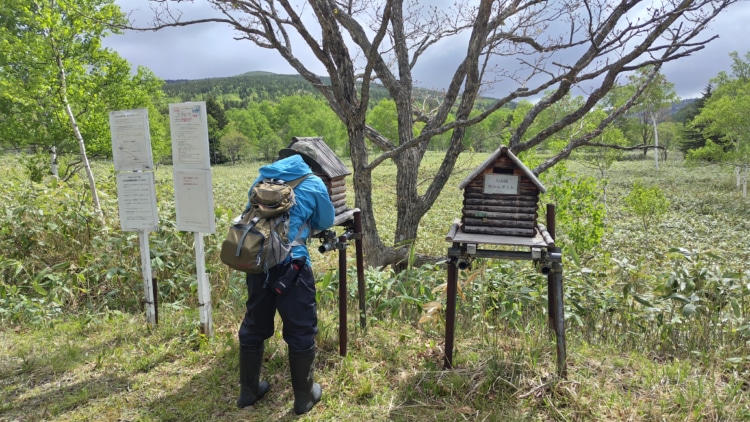 北海道大学天塩研究林