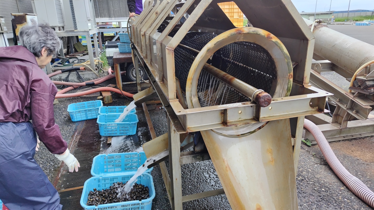 シジミの選別機