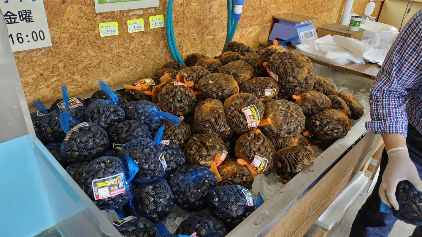 天塩町のシジミ直売所