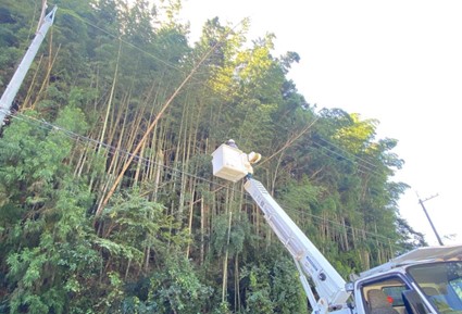 竹林にクレーン車で向かう様子