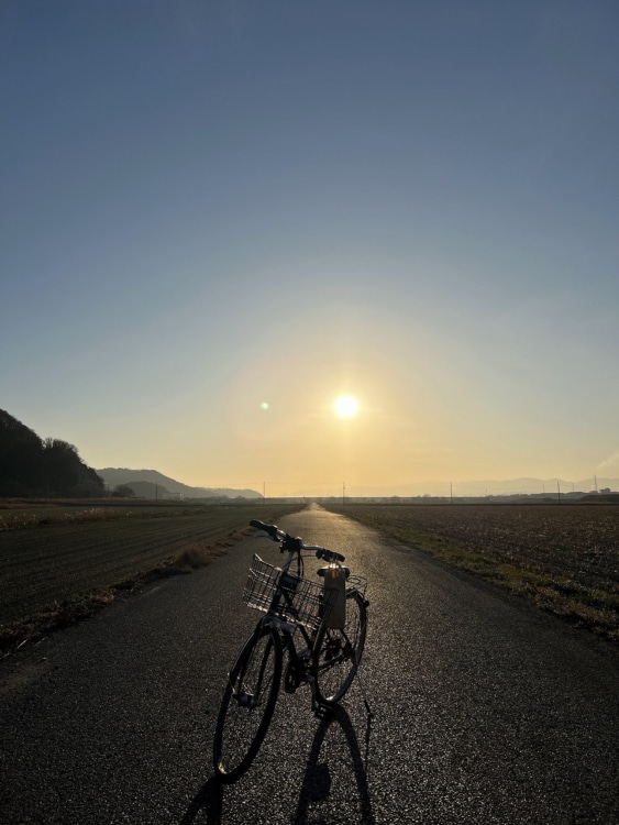 1本道に停めた自転車と夕日と