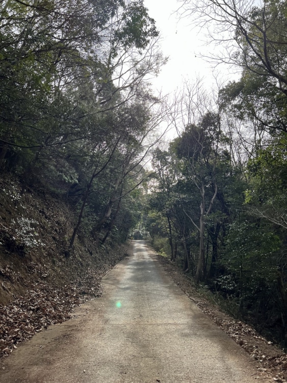 木々がうっそうとしている山道