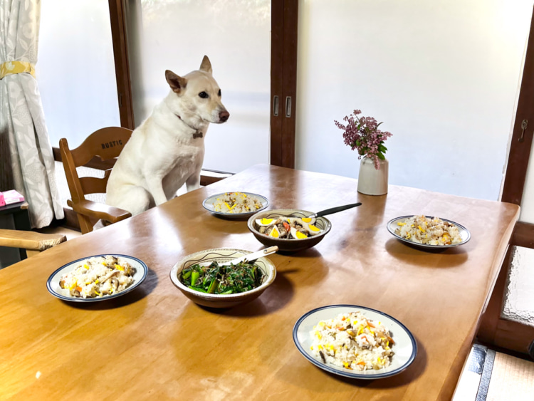 まっさきに食卓についている愛犬