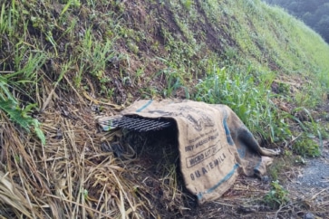 写真:人間より動物が多い熊本産山村の集落。猟師に教わったわなでアナグマを捕獲