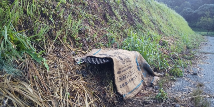 アナグマの通り道に仕掛けたワナ