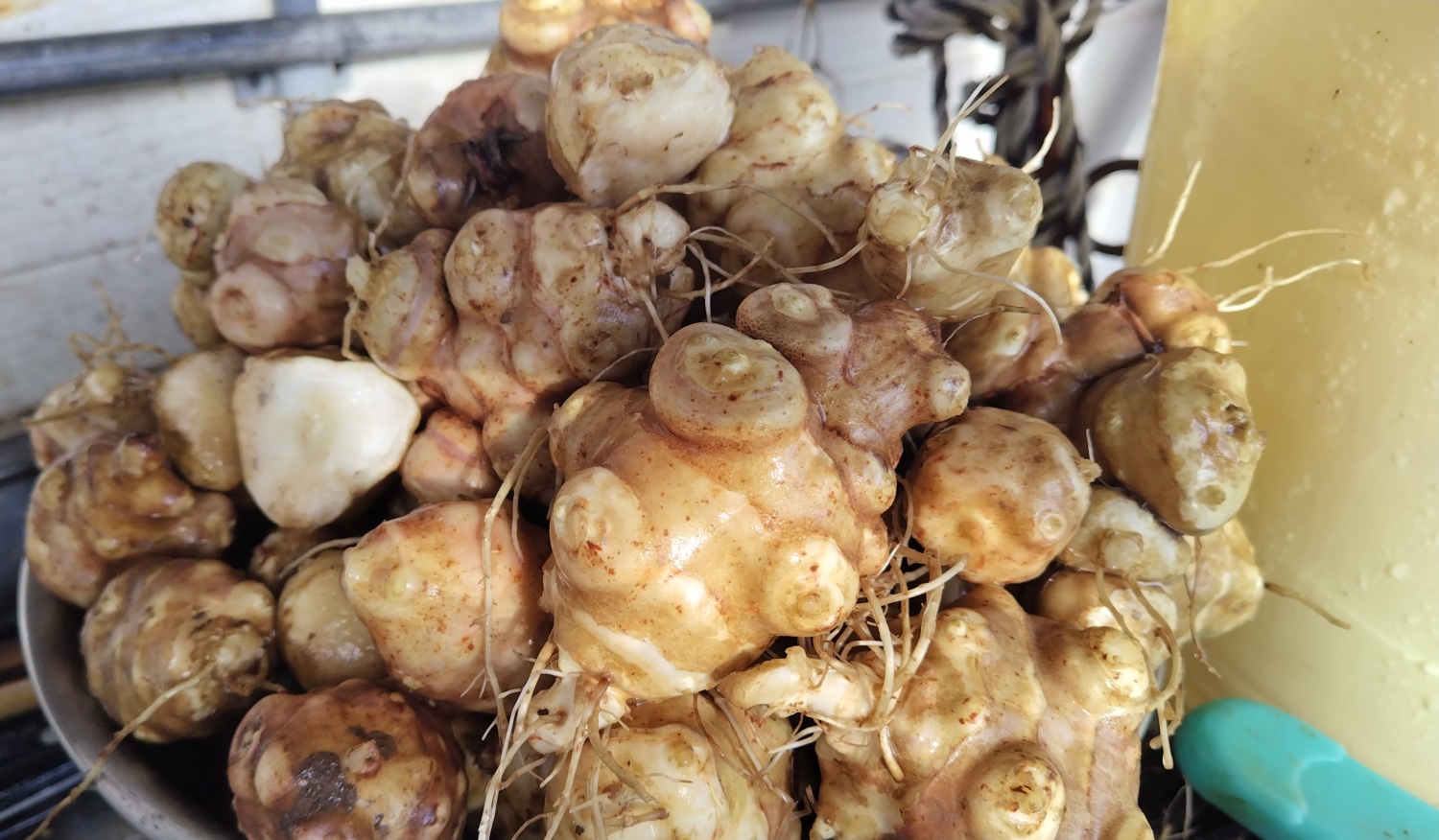 洗ったキクイモ