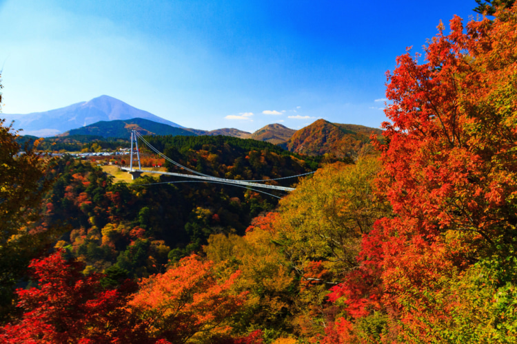 渓谷と見事な色の紅葉