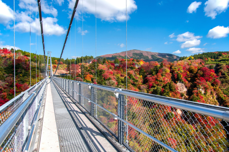 真っすぐにかかる九重 “夢 ” 大吊橋と紅葉