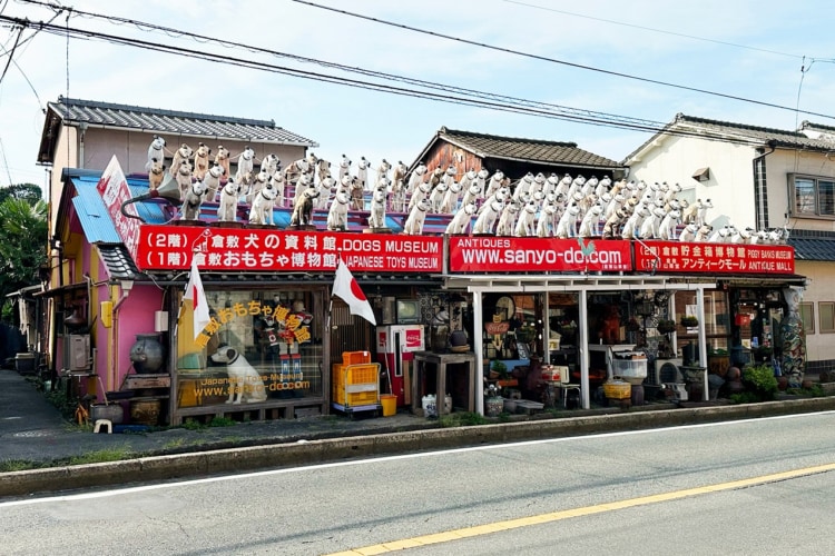 屋根に犬の置物がたくさん並んでいる