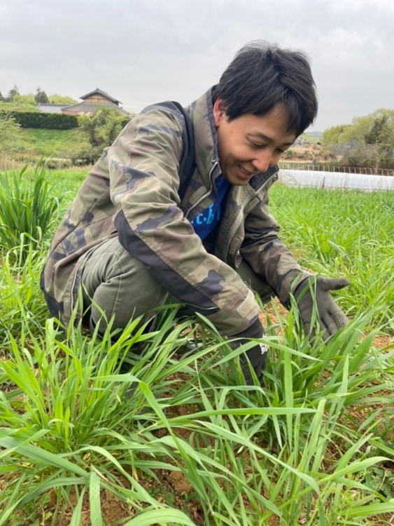 畑でしゃがんで作業をしている男性