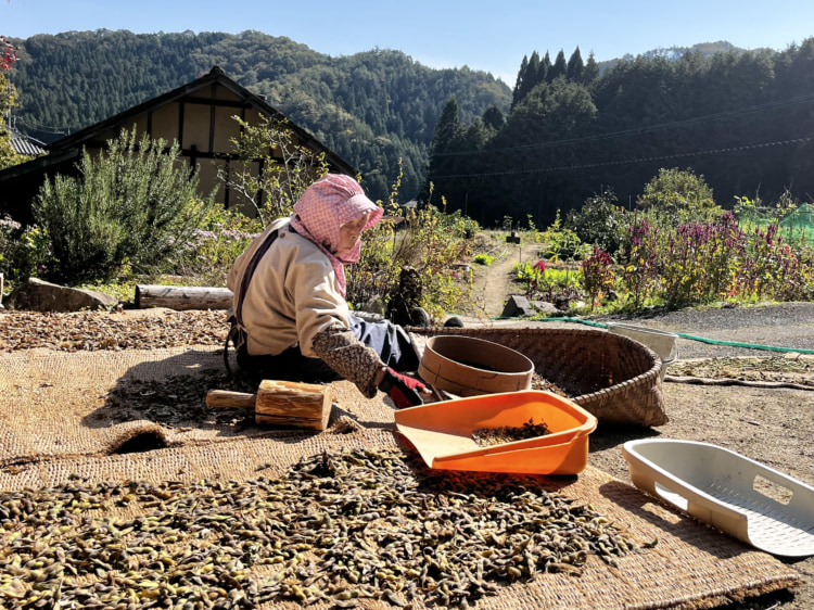 豆仕事をするおばあちゃん