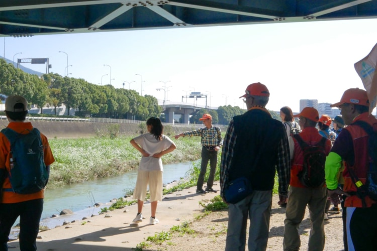 川にいる魚を探す参加者