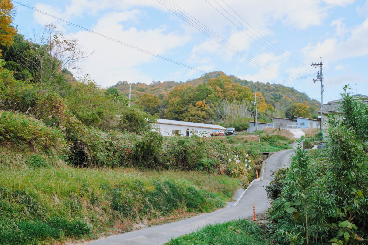 緑に囲まれて立つ建物
