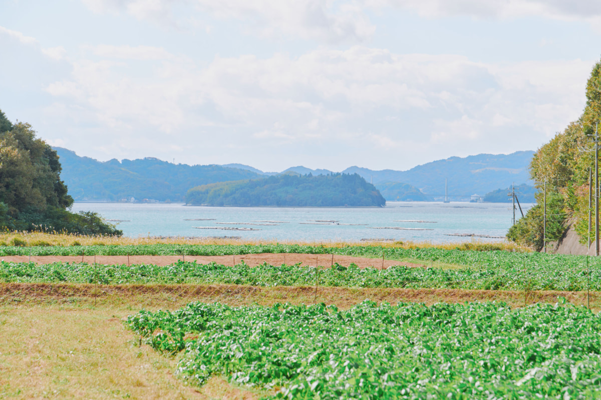 畑の向こうに広がる海
