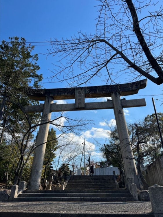 青空を背景にした神社の鳥居