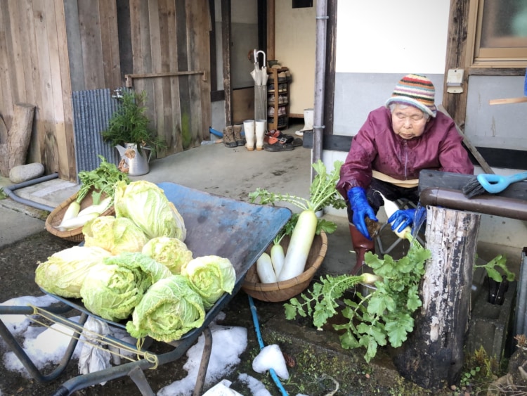 いつも野菜に囲まれている