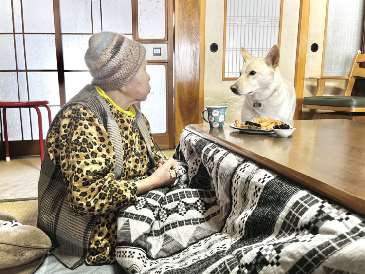 愛犬はイスを取り合うライバルでもある