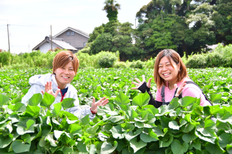 畑の中で笑う女性2人