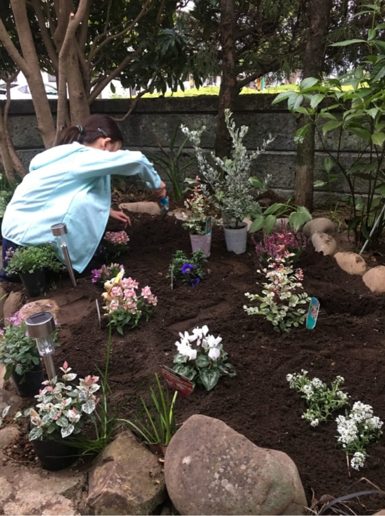 庭で花を植えている女性