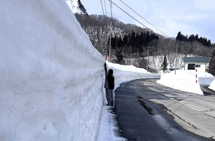 道路わきにできた2メートル以上の雪の壁の前に人が立って高さを表現している