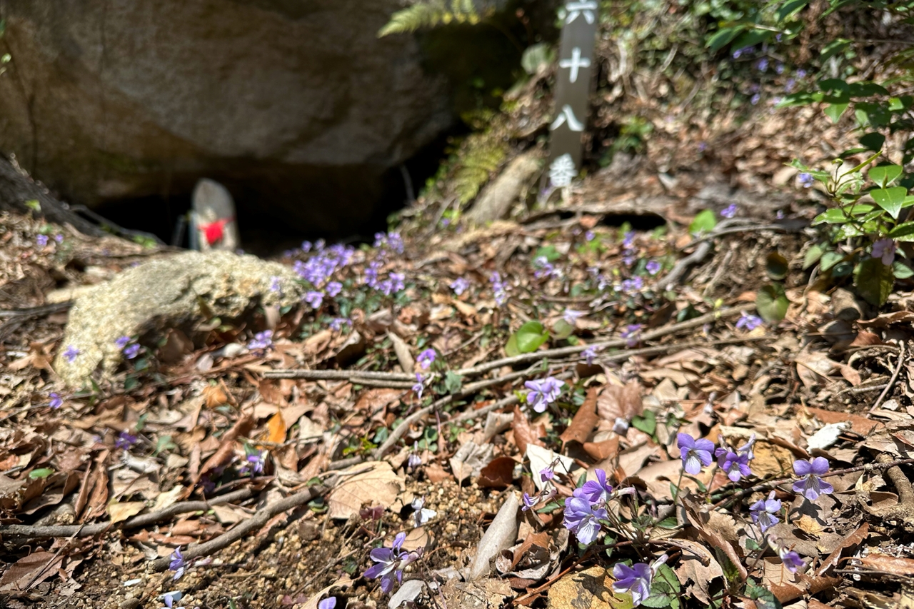 石仏の前に咲いている小さな紫色の花
