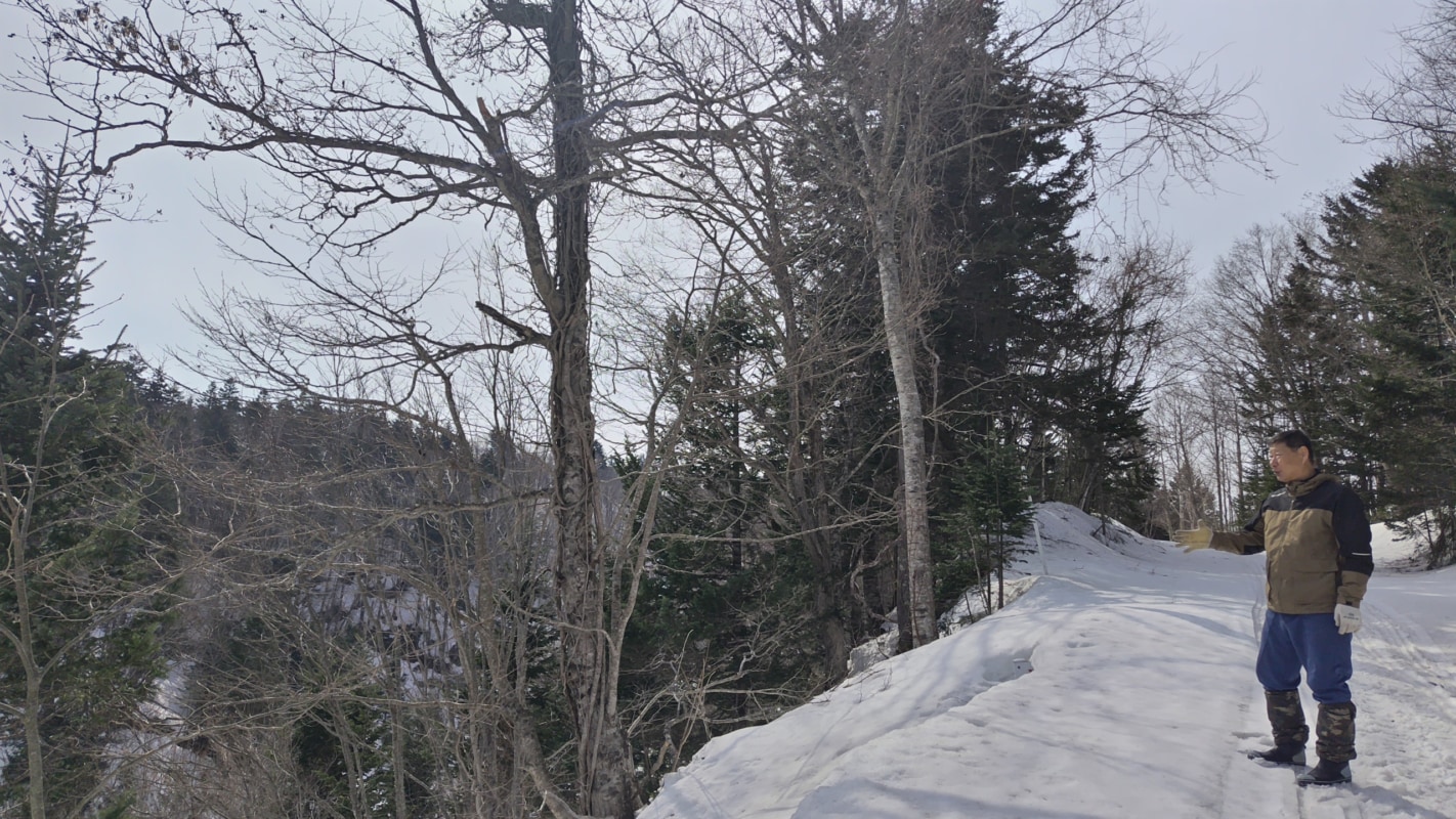 雪が積もる森の中を歩く男性