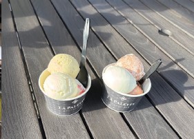 写真:静岡市用宗港の「しらすヨーグルトジェラート」港では新鮮なしらす丼も堪能