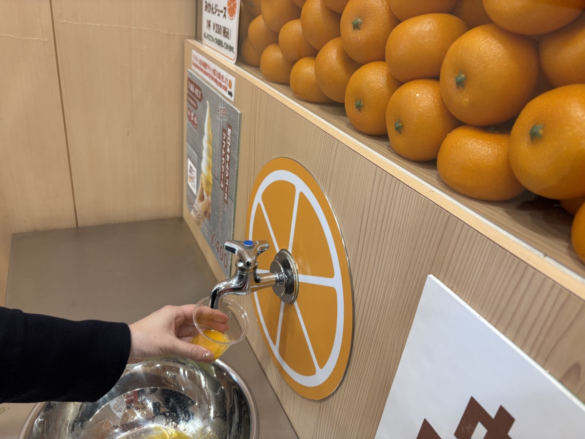 蛇口ミカンジュース